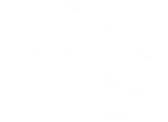 ハンサムの説明画像